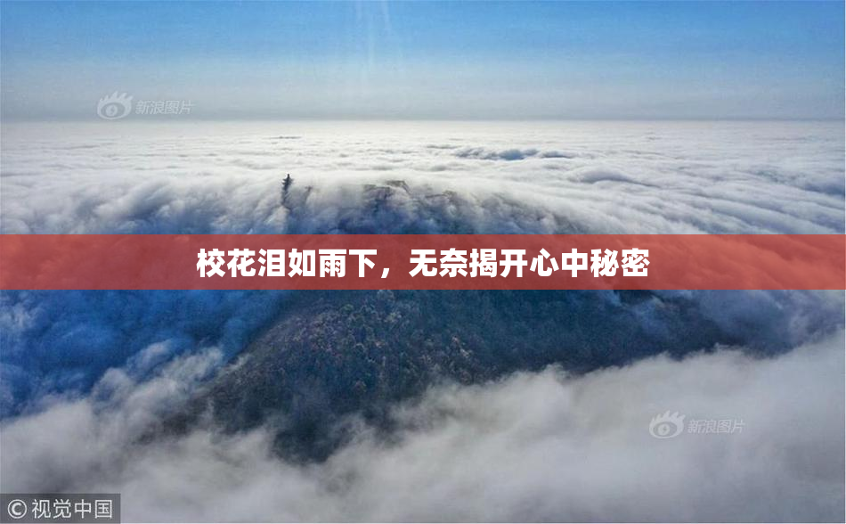 校花泪如雨下，无奈揭开心中秘密