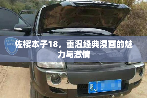 佐樱本子18，重温经典漫画的魅力与激情