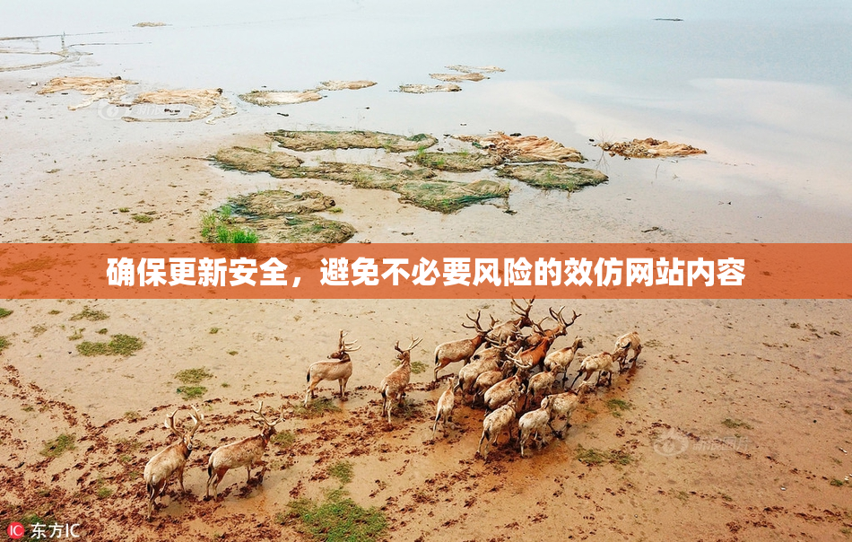 确保更新安全，避免不必要风险的效仿网站内容
