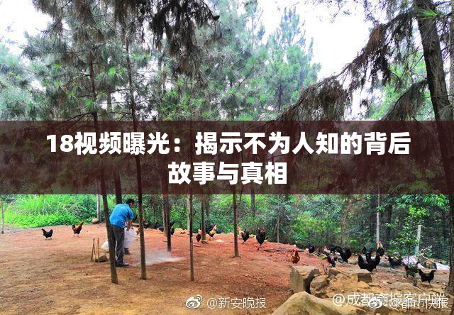 18视频曝光：揭示不为人知的背后故事与真相