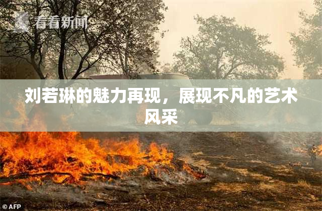 刘若琳的魅力再现，展现不凡的艺术风采