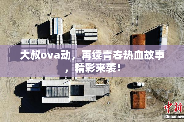 大叔ova动，再续青春热血故事，精彩来袭！