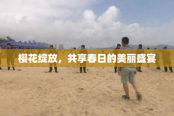 樱花绽放，共享春日的美丽盛宴