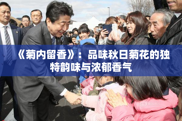 《菊内留香》：品味秋日菊花的独特韵味与浓郁香气