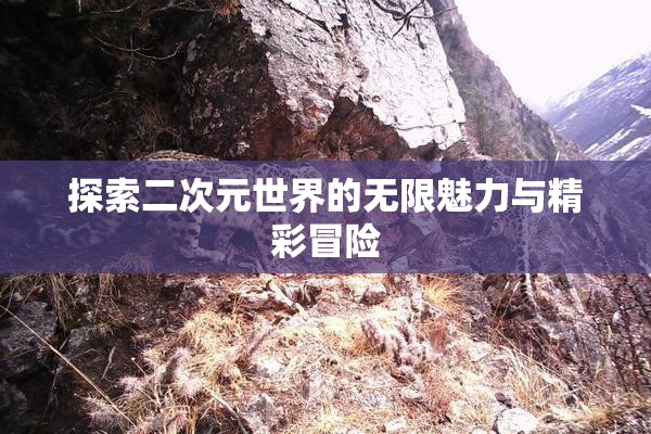 探索二次元世界的无限魅力与精彩冒险