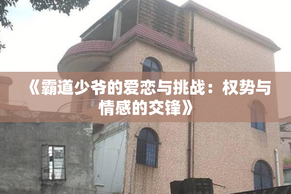 《霸道少爷的爱恋与挑战：权势与情感的交锋》