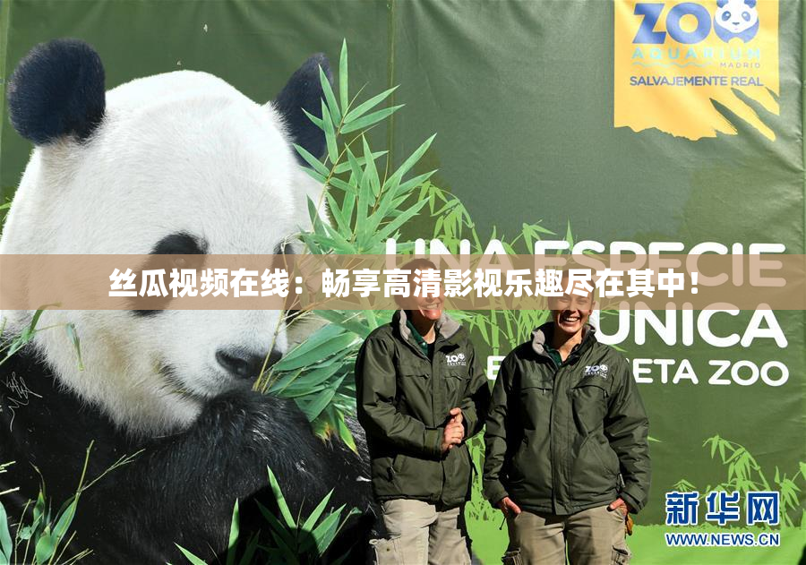 丝瓜视频在线：畅享高清影视乐趣尽在其中！