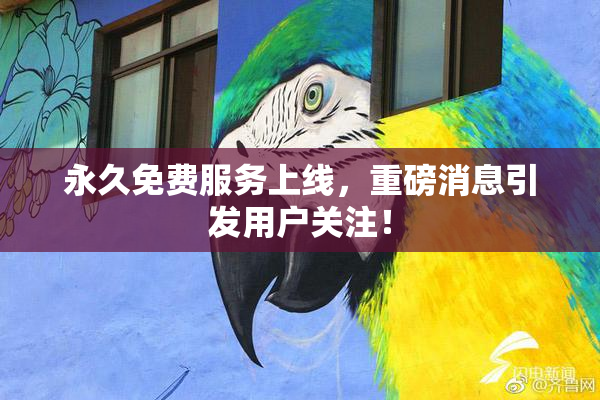 永久免费服务上线，重磅消息引发用户关注！