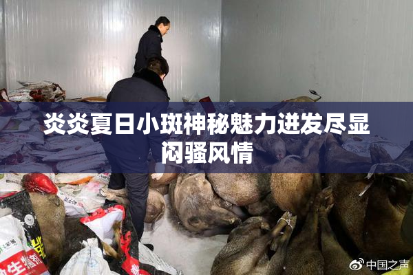 炎炎夏日小斑神秘魅力迸发尽显闷骚风情