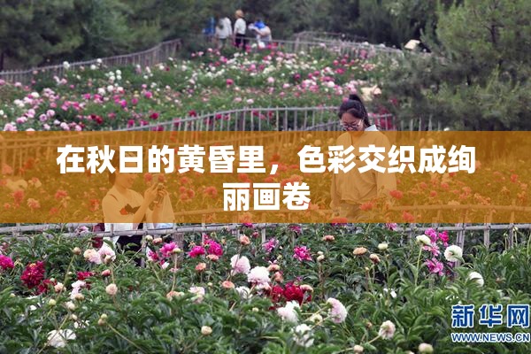 在秋日的黄昏里，色彩交织成绚丽画卷