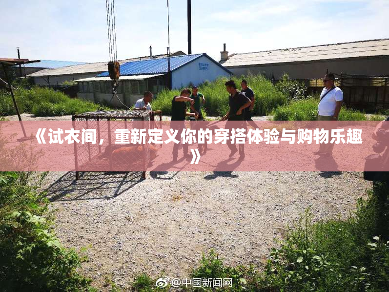 《试衣间，重新定义你的穿搭体验与购物乐趣》