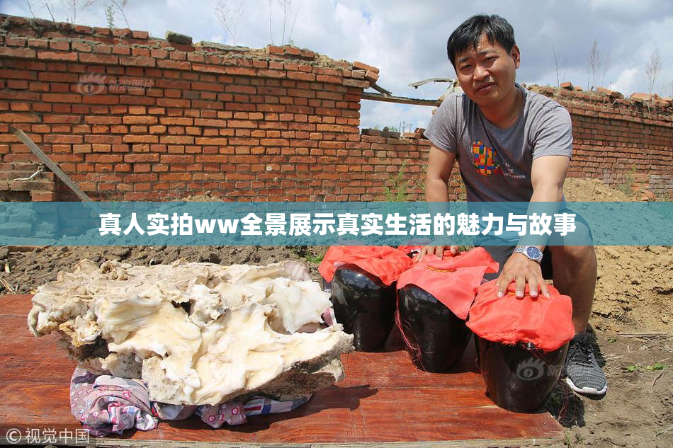 真人实拍ww全景展示真实生活的魅力与故事