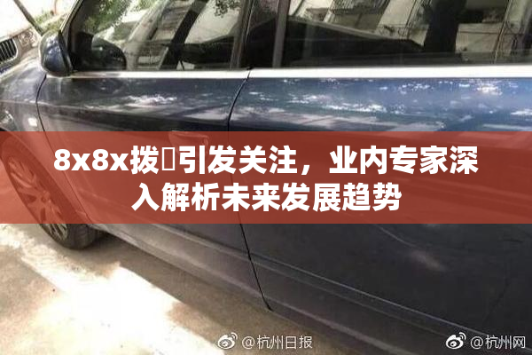 8x8x拨牐引发关注，业内专家深入解析未来发展趋势