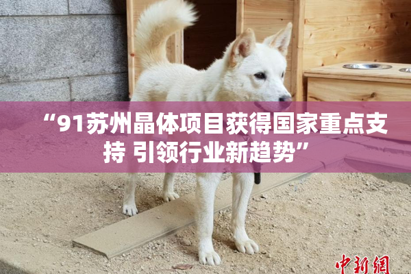 “91苏州晶体项目获得国家重点支持 引领行业新趋势”