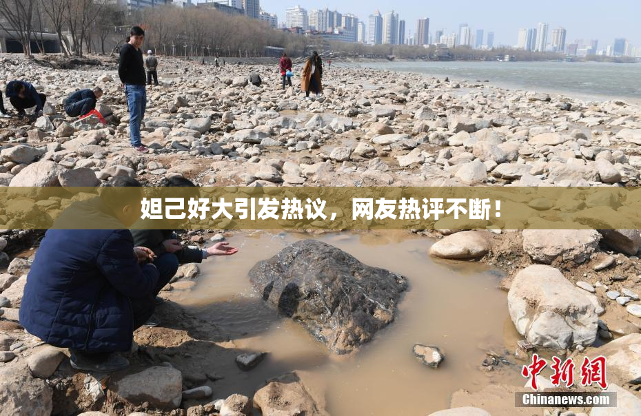 妲己好大引发热议，网友热评不断！