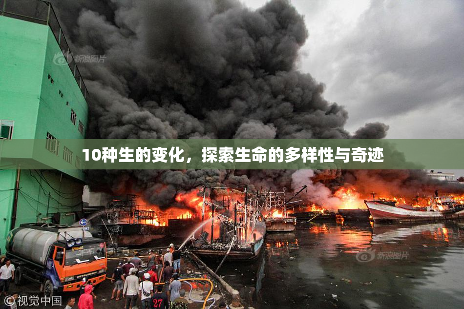 10种生的变化，探索生命的多样性与奇迹