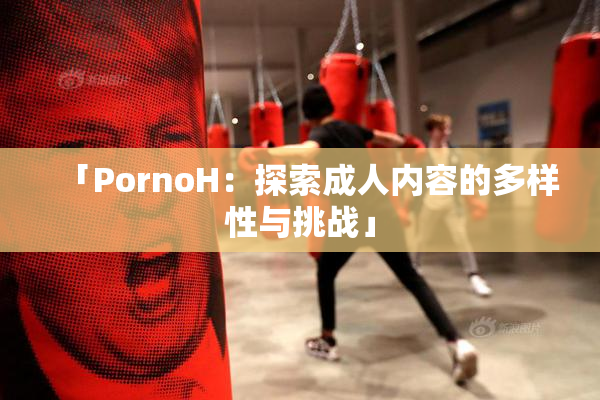 「PornoH：探索成人内容的多样性与挑战」