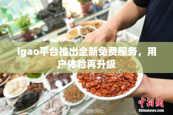 igao平台推出全新免费服务，用户体验再升级