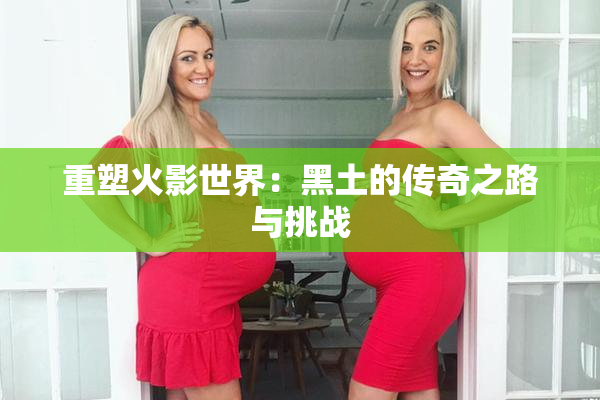 重塑火影世界：黑土的传奇之路与挑战