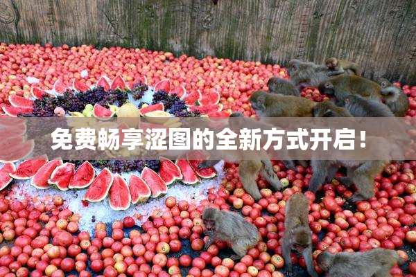 免费畅享涩图的全新方式开启！