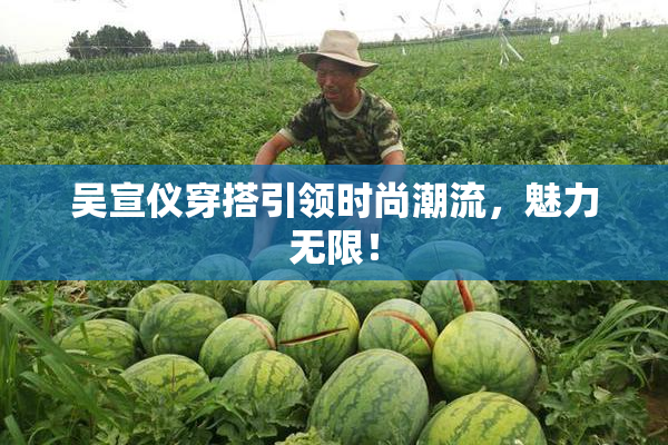 吴宣仪穿搭引领时尚潮流，魅力无限！