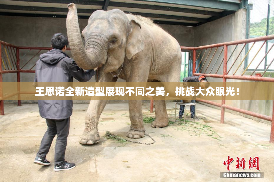 王思诺全新造型展现不同之美，挑战大众眼光！