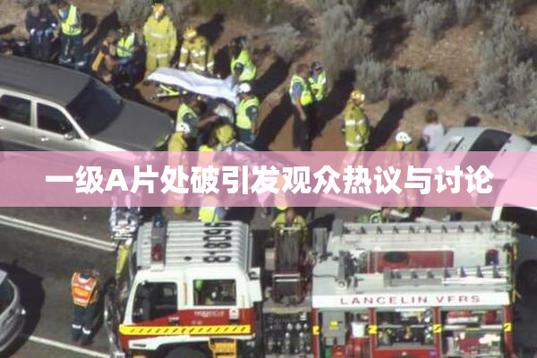 一级A片处破引发观众热议与讨论