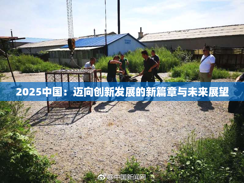 2025中国：迈向创新发展的新篇章与未来展望