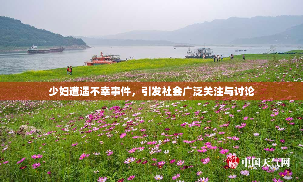 少妇遭遇不幸事件，引发社会广泛关注与讨论