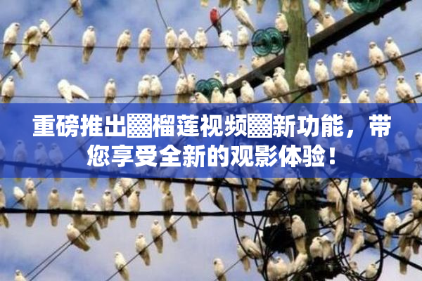 重磅推出▓榴莲视频▓新功能，带您享受全新的观影体验！