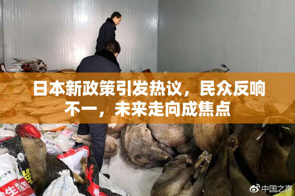 日本新政策引发热议，民众反响不一，未来走向成焦点