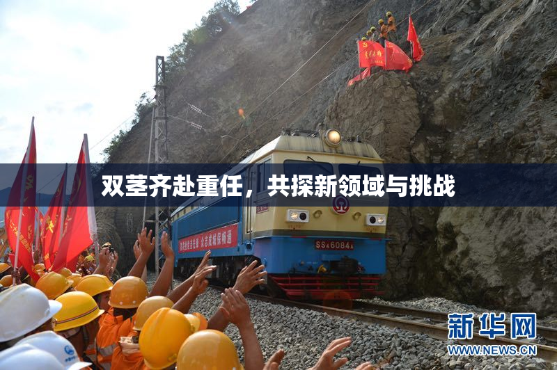 双茎齐赴重任，共探新领域与挑战
