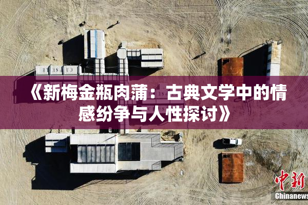 《新梅金瓶肉蒲：古典文学中的情感纷争与人性探讨》
