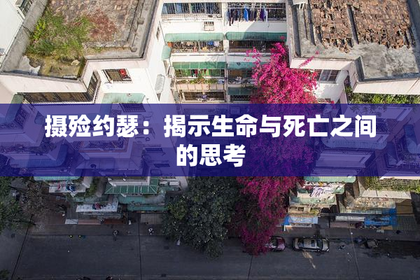 摄殓约瑟：揭示生命与死亡之间的思考