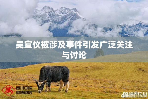 吴宣仪被涉及事件引发广泛关注与讨论
