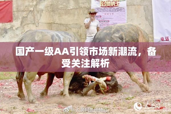 国产一级AA引领市场新潮流，备受关注解析