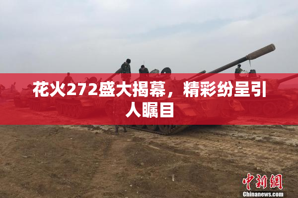 花火272盛大揭幕，精彩纷呈引人瞩目