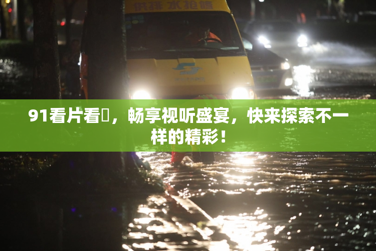 91看片看婬，畅享视听盛宴，快来探索不一样的精彩！