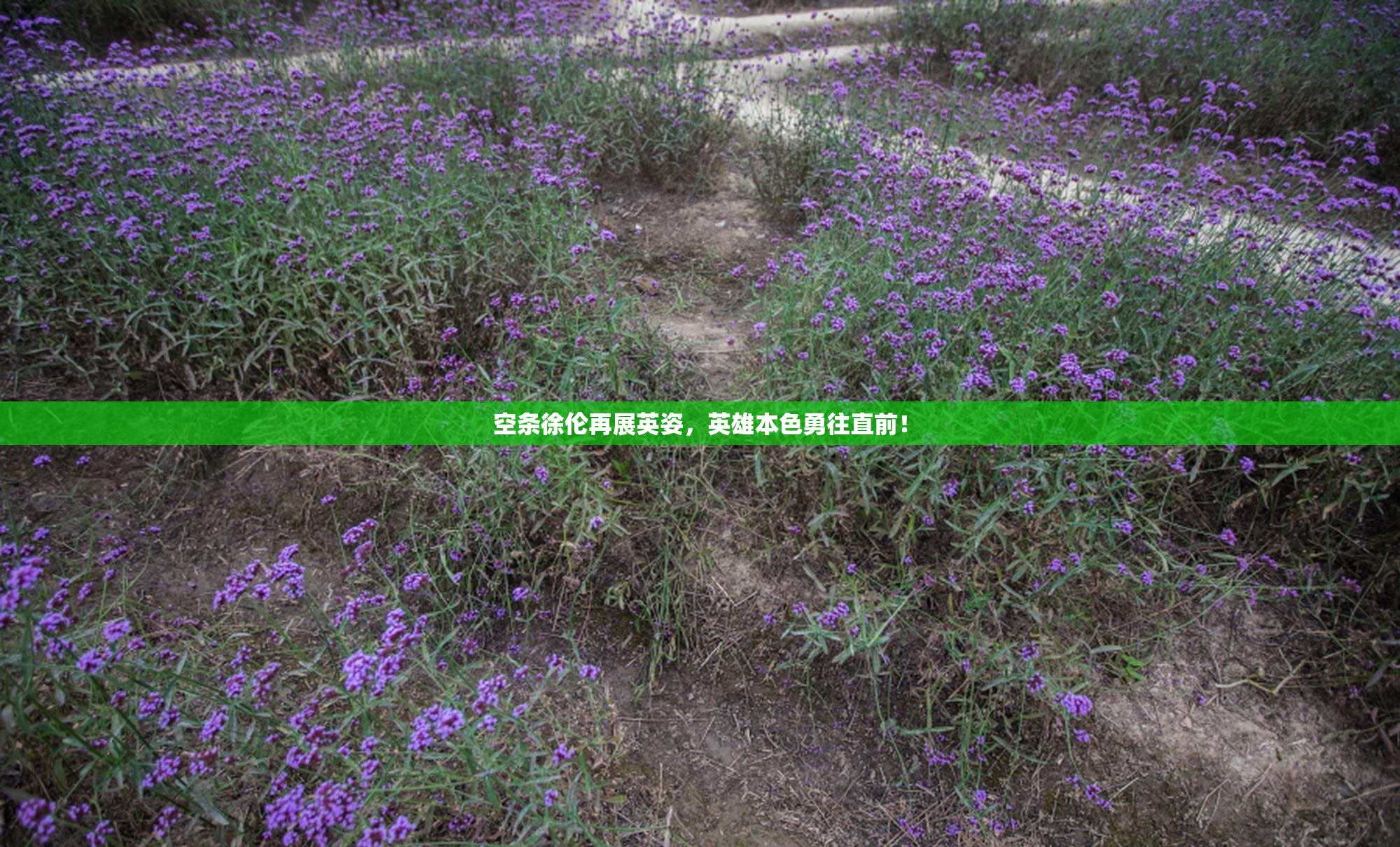 空条徐伦再展英姿，英雄本色勇往直前！