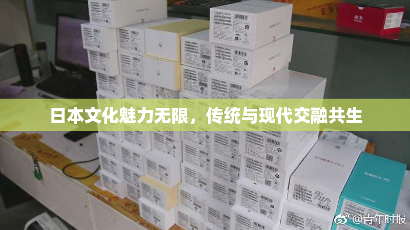 日本文化魅力无限，传统与现代交融共生