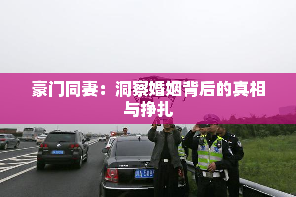 豪门同妻：洞察婚姻背后的真相与挣扎
