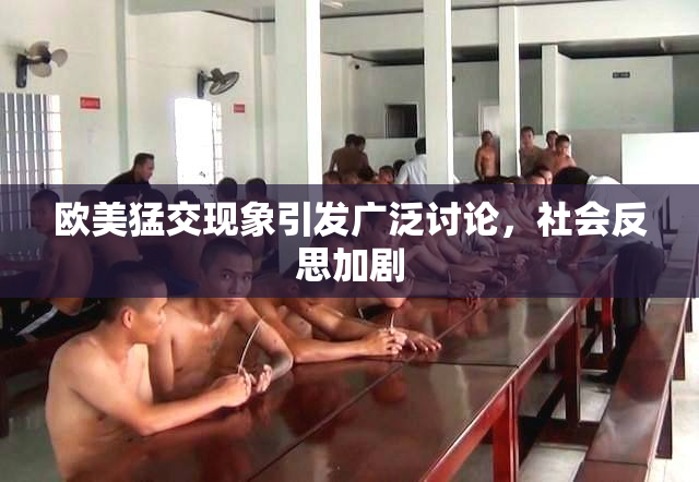 欧美猛交现象引发广泛讨论，社会反思加剧