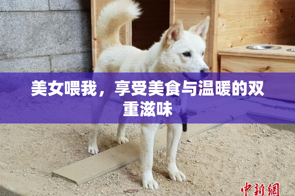 美女喂我，享受美食与温暖的双重滋味