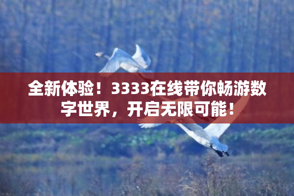 全新体验！3333在线带你畅游数字世界，开启无限可能！