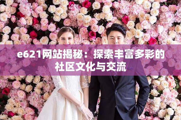 e621网站揭秘：探索丰富多彩的社区文化与交流