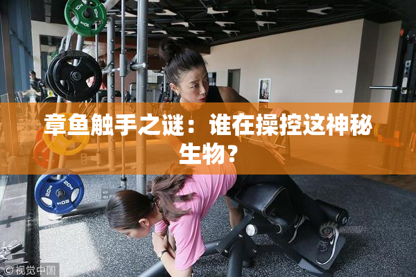 章鱼触手之谜：谁在操控这神秘生物？