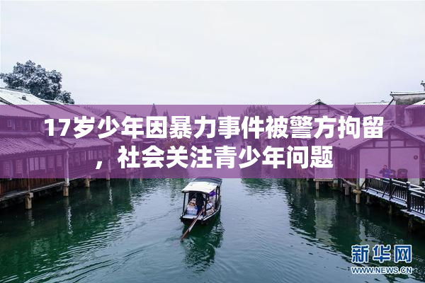 17岁少年因暴力事件被警方拘留，社会关注青少年问题