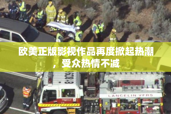 欧美正版影视作品再度掀起热潮，受众热情不减