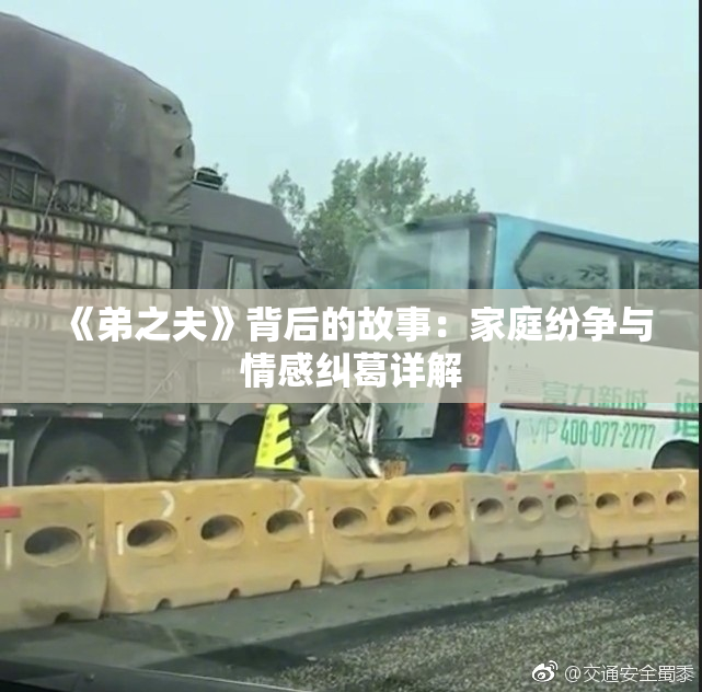 《弟之夫》背后的故事：家庭纷争与情感纠葛详解