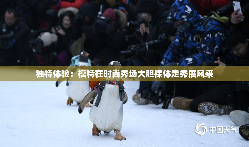 独特体验：模特在时尚秀场大胆裸体走秀展风采